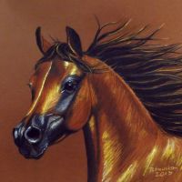 Portrait of bay horse 3, pastel, 70x50 cm